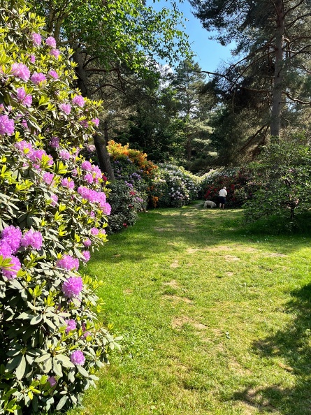 23-06-03 16-38-35 5788.jpeg